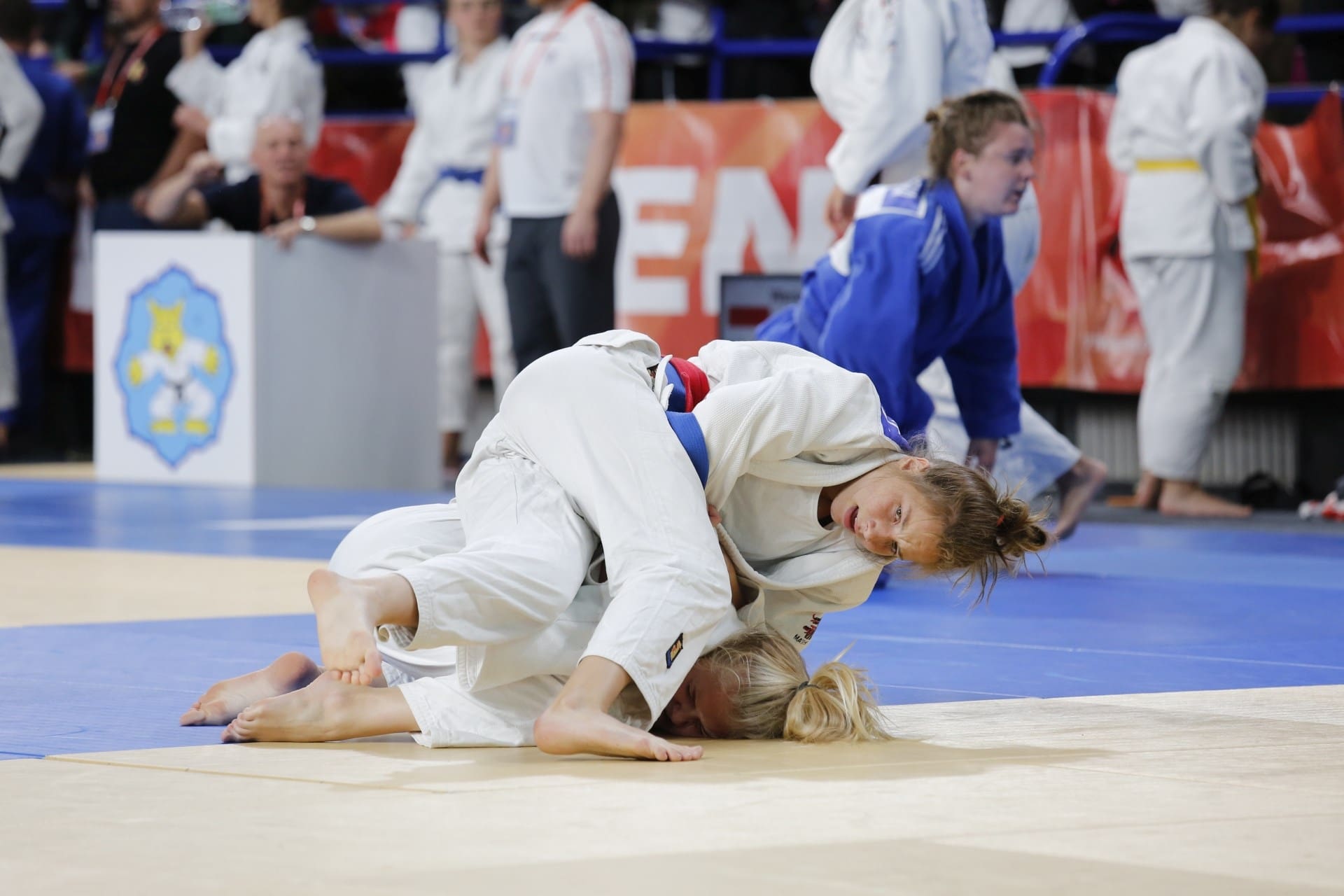 71196468_2756811287664899_3873265451005902848_o